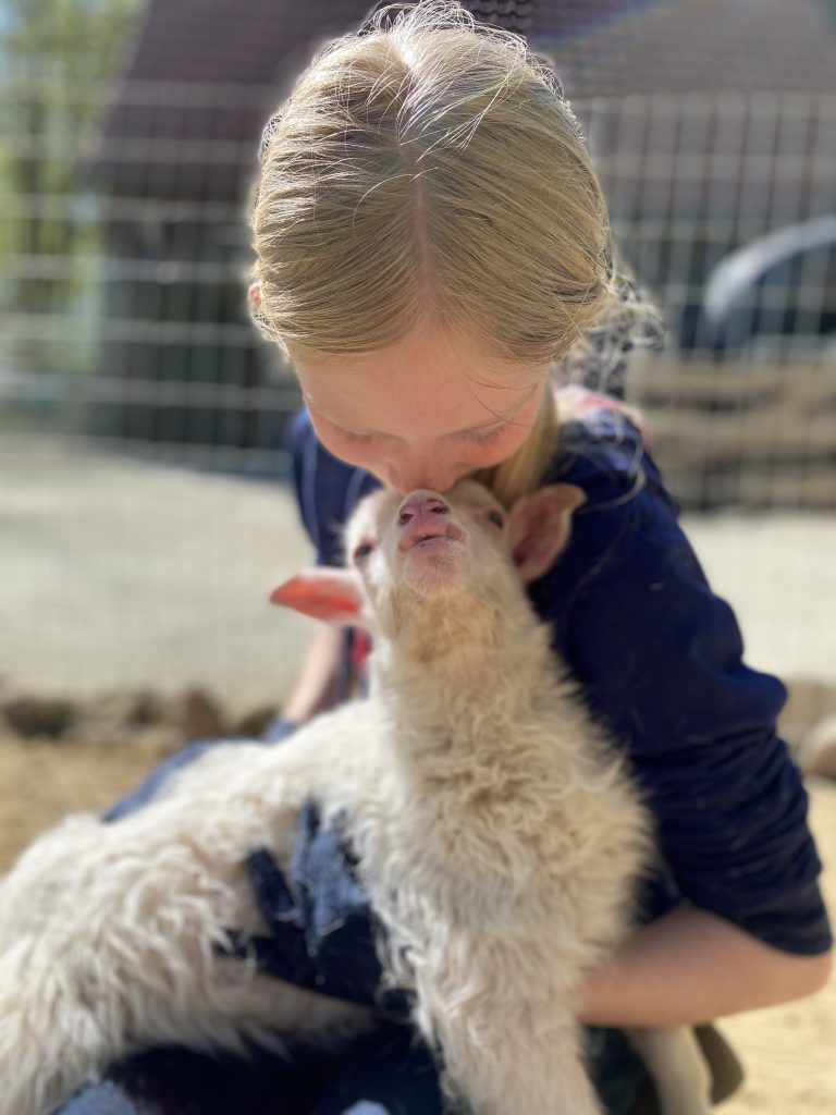 Tiergestützte Pädagogik Hof Altenbrück